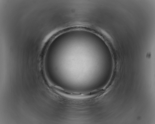 X0000092311310200709281338