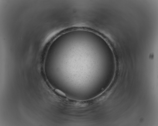 X0000092311311200709281338