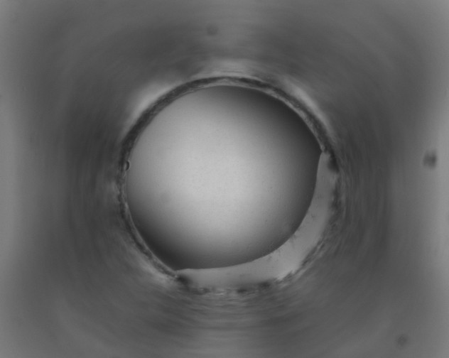 X0000092311312200709281338