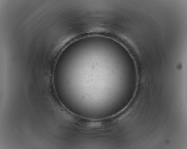 X0000092311313200709281338