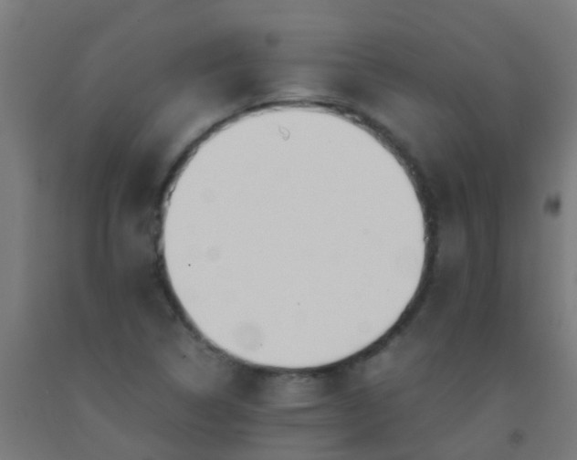 X0000092311314200709281338