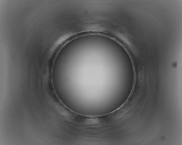 X0000092311315200709281338