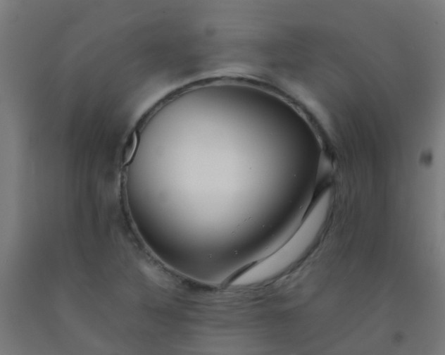 X0000092311316200709281338