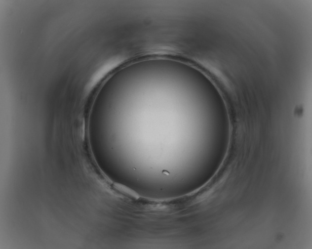 X0000092311317200709281338