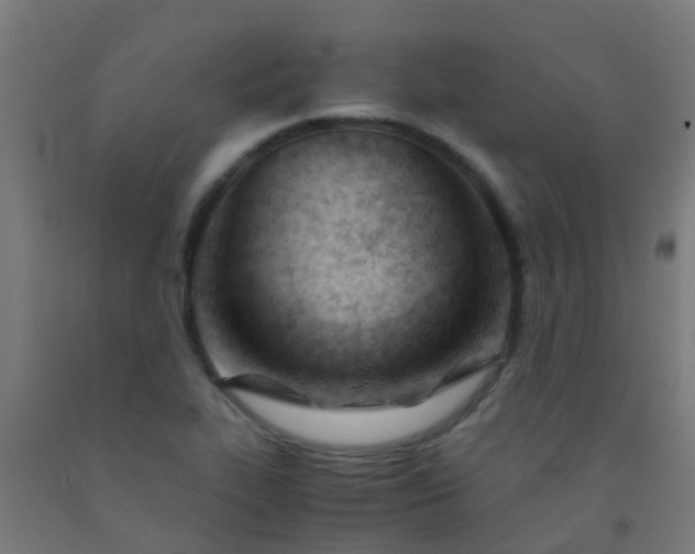 X0000092311319200709281338