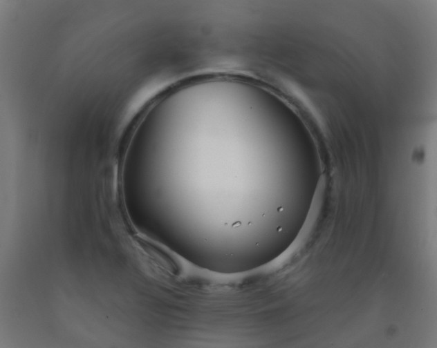 X0000092311320200709281338