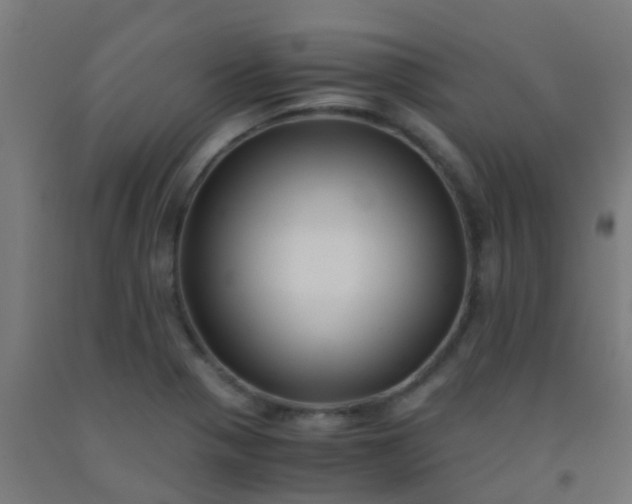 X0000092311321200709281338