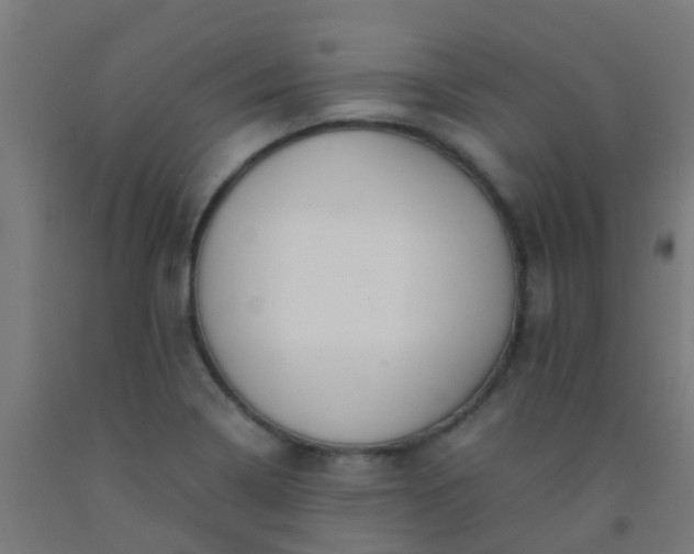 X0000092311322200709281338
