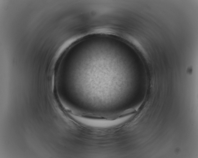 X0000092311323200709281338