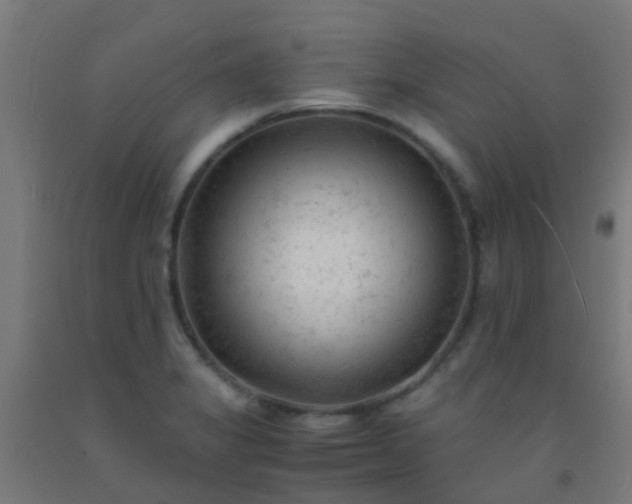 X0000092311325200709281338