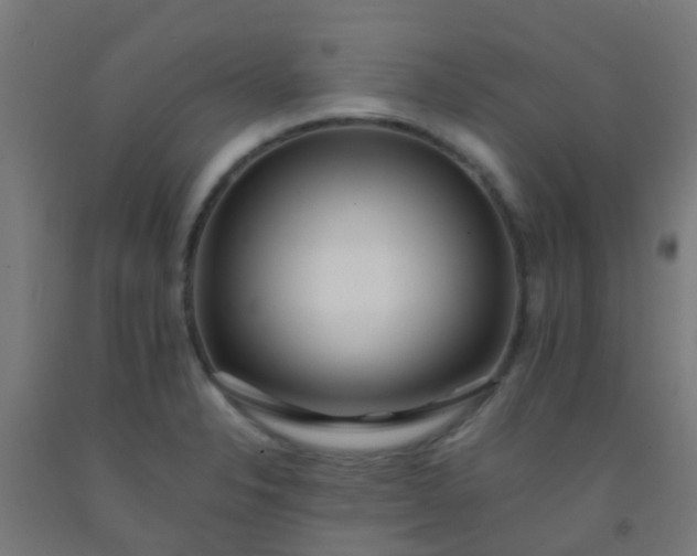 X0000092311326200709281339