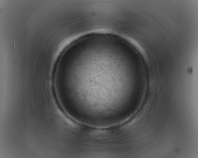 X0000092311327200709281339