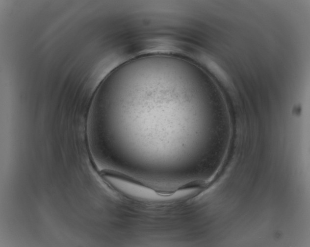 X0000092311329200709281339