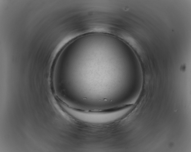 X0000092311331200709281339