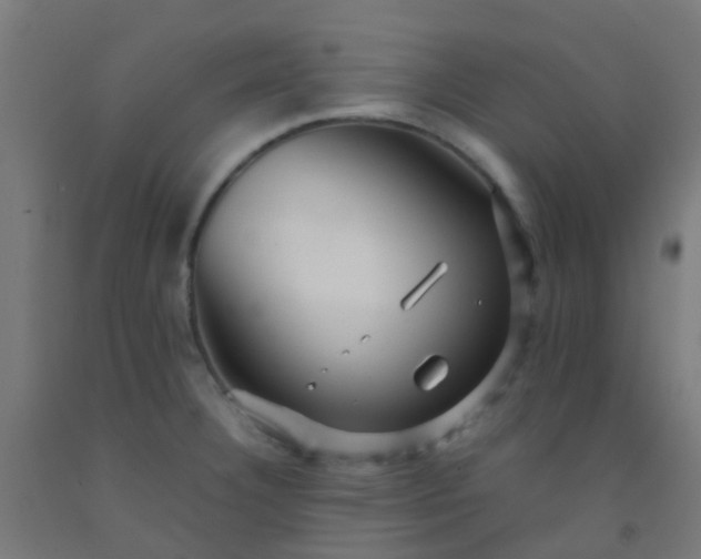 X0000092311332200709281339