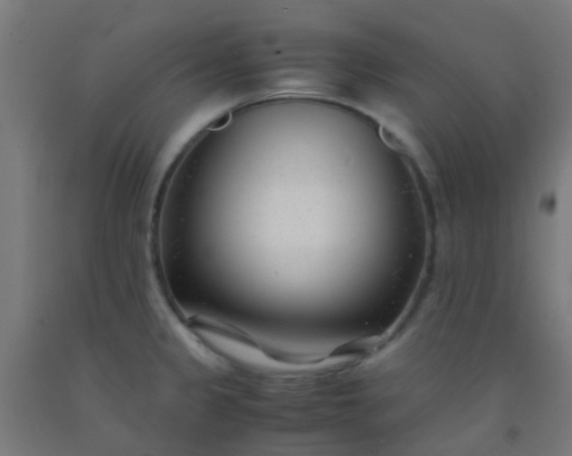 X0000092311333200709281339