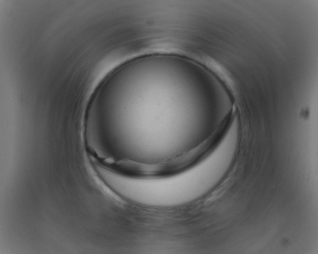 X0000092311334200709281339