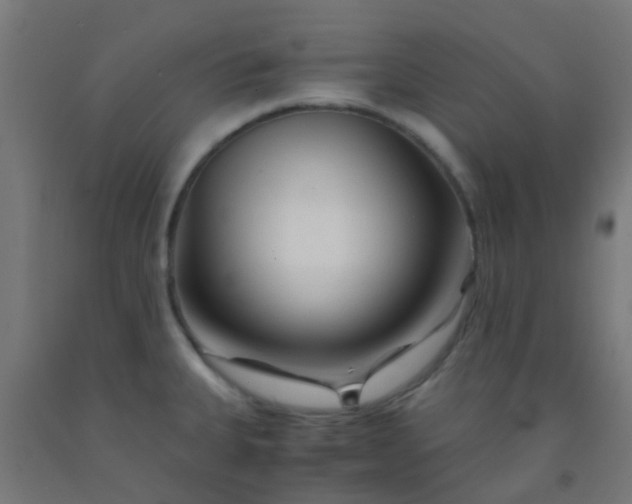 X0000092311335200709281339