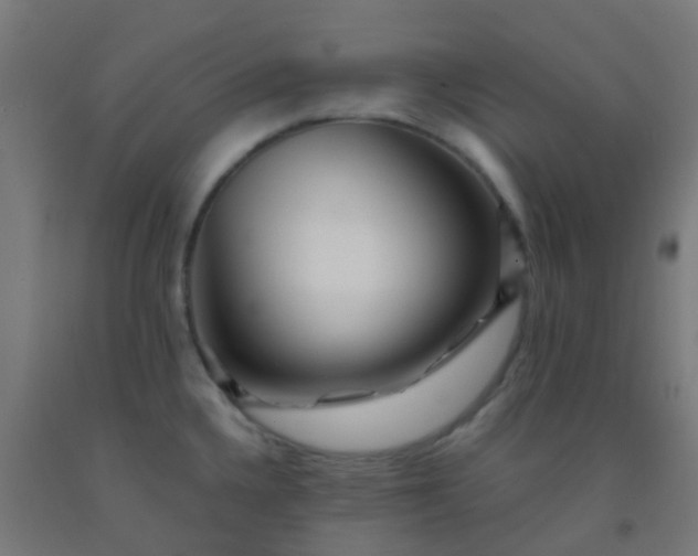 X0000092311336200709281339