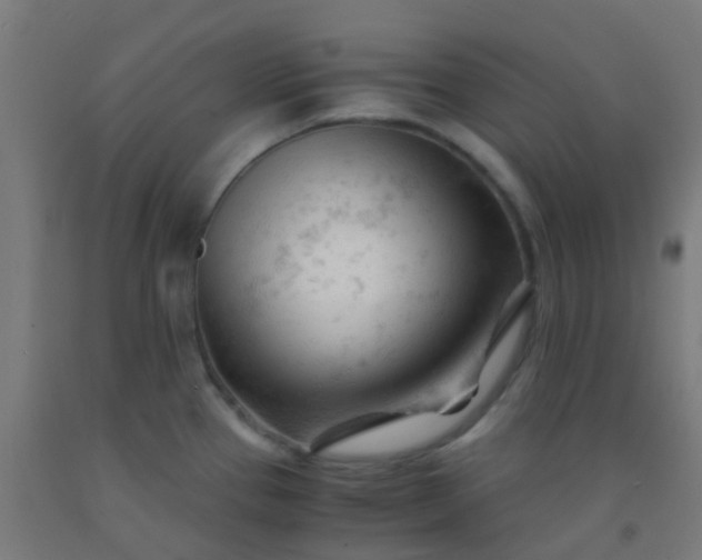 X0000092311337200709281339