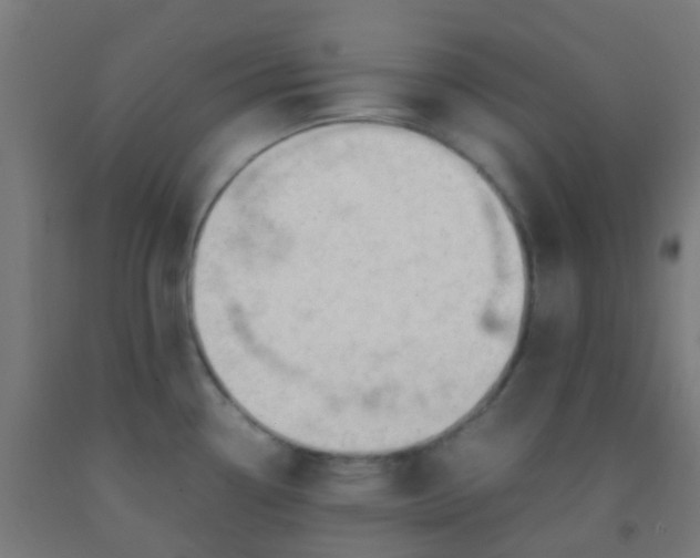 X0000092311338200709281339