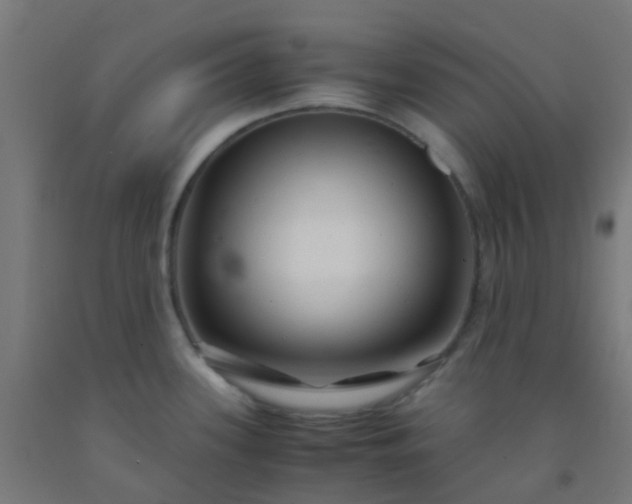 X0000092311339200709281339