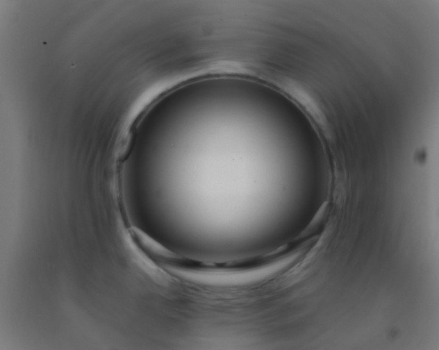 X0000092311342200709281339