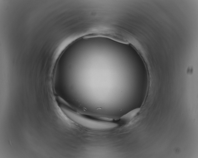 X0000092311344200709281339