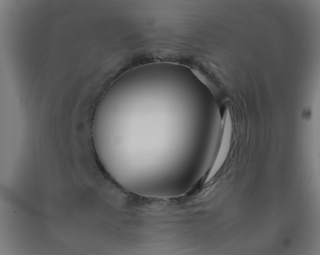 X0000092311345200709281338