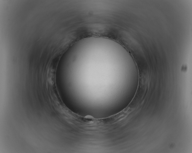 X0000092311346200709281338