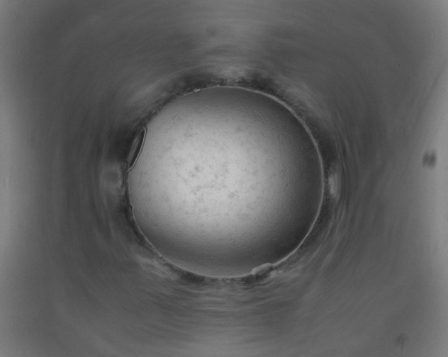 X0000092311347200709281338