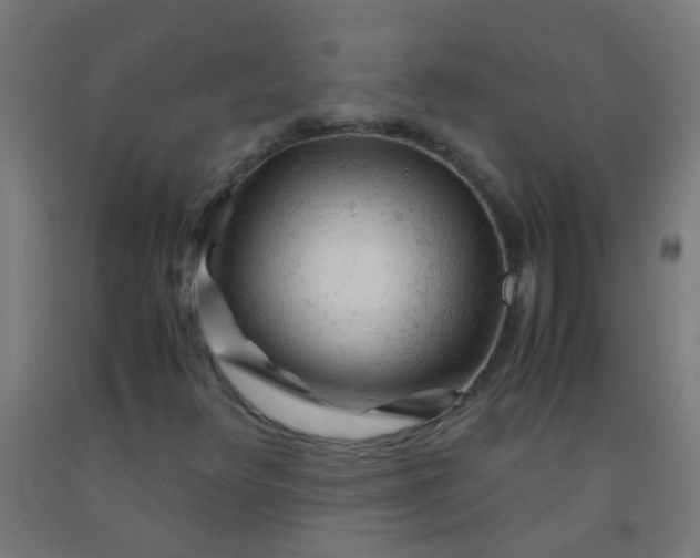 X0000092311348200709281338