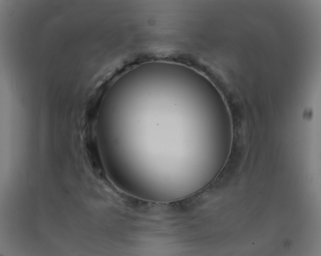 X0000092311349200709281338