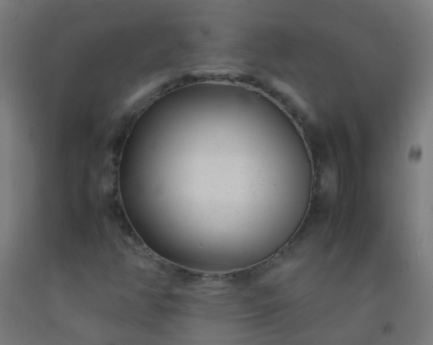 X0000092311350200709281338