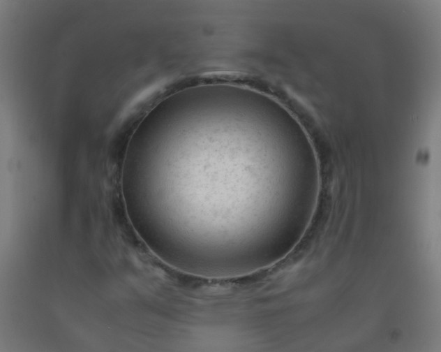 X0000092311351200709281338