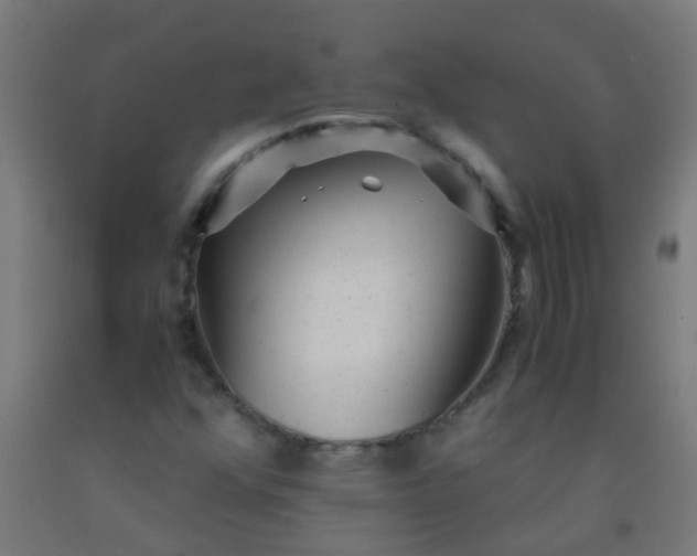 X0000092311352200709281338