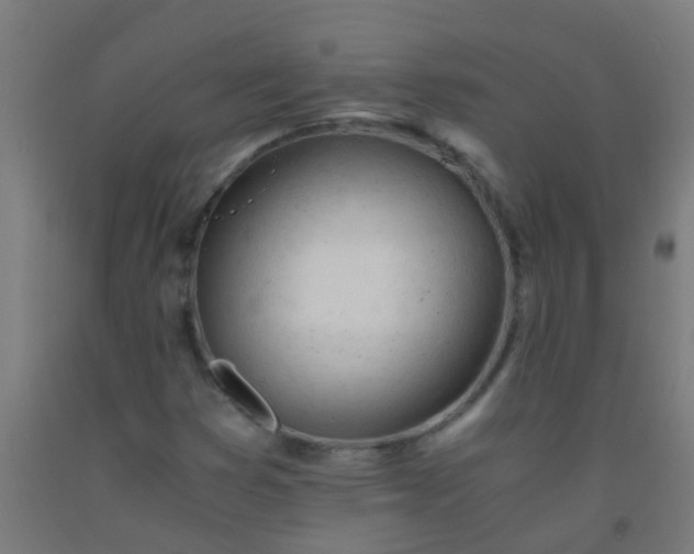 X0000092311353200709281338