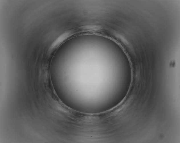 X0000092311354200709281338