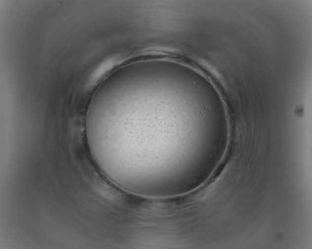 X0000092311355200709281338