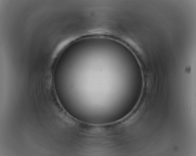 X0000092311358200709281338