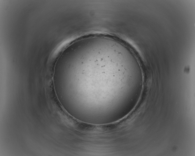 X0000092311359200709281338