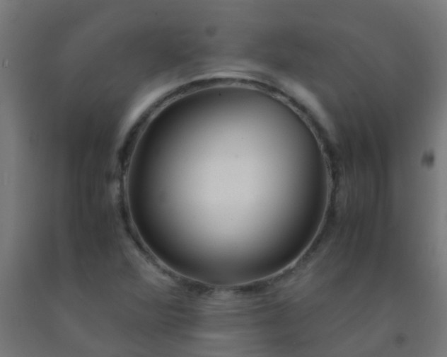 X0000092311360200709281338