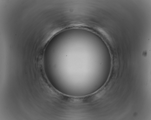 X0000092311361200709281338