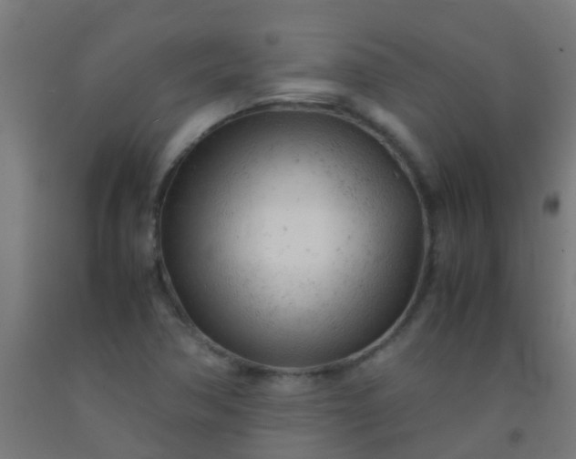 X0000092311362200709281338