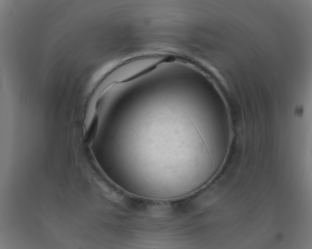 X0000092311363200709281338