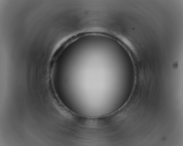 X0000092311364200709281338