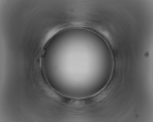 X0000092311365200709281338