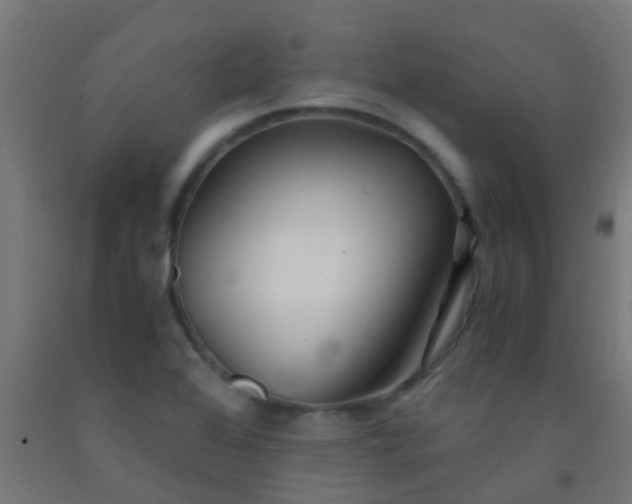 X0000092311368200709281338