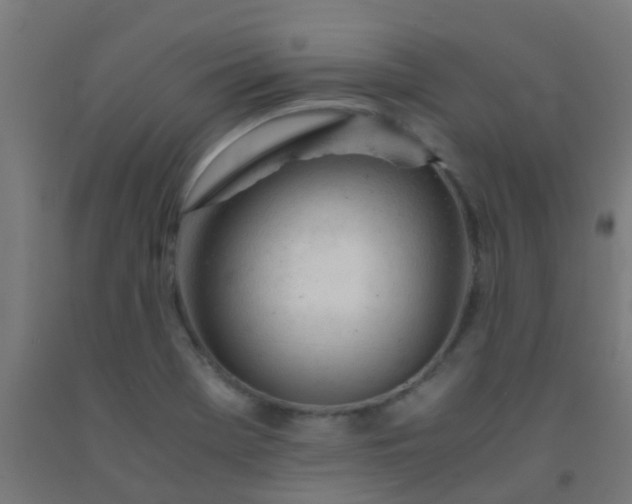 X0000092311369200709281338