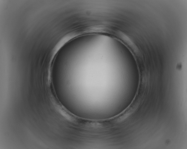 X0000092311370200709281338